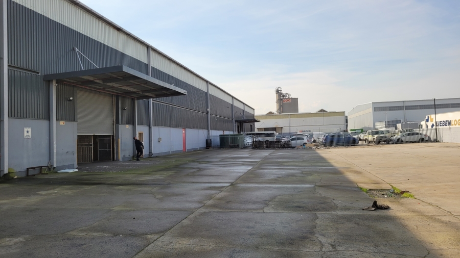 To Let commercial Property for Rent in Montague Gardens Western Cape